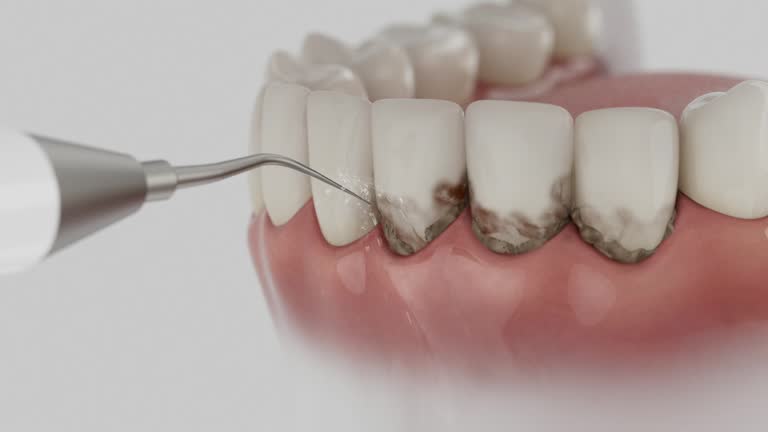 Reliable Dental contractor in Pineville, NC by Dentist Open Now